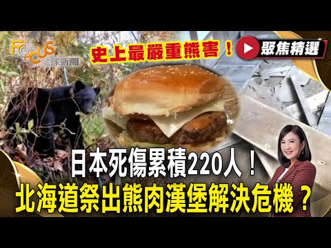 史上最嚴重熊害！日本死傷累積220人 北海道祭出「熊肉漢堡」解決危機？【#聚焦精選】#熊害 #日本 #熊肉漢堡