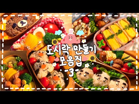 [도시락 모음집 #03] 어른들이 더 좋아하는,, 뽀짝🍅도시락 모음집₍՞ • 🐽 • ՞₎✨🔥