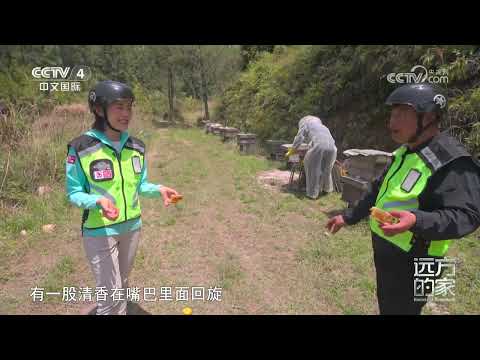 《远方的家》 20231213 沿海看中国(33) 仙游“仙境”|CCTV中文国际