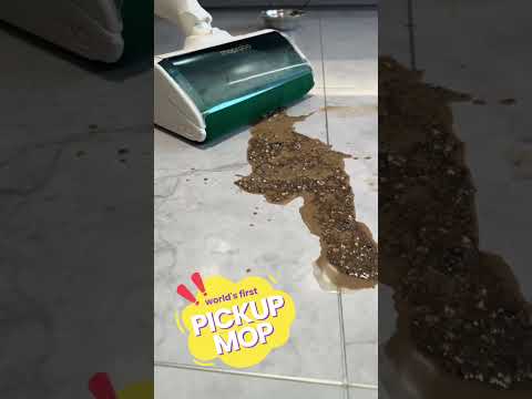 🐾 Pets make messes. Moprobo makes them disappear.