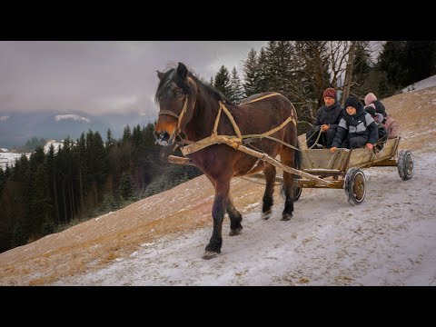 Inside the Off-Grid Life: Borscht, Sizzling Steaks, and Pure Resilience!