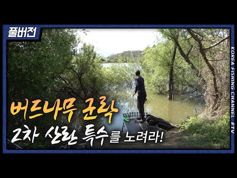 Another Moonfish! The power of the second spawn special was amazing!!