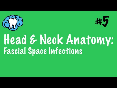 Head & Neck Anatomy | Fascial Space Infections | INBDE