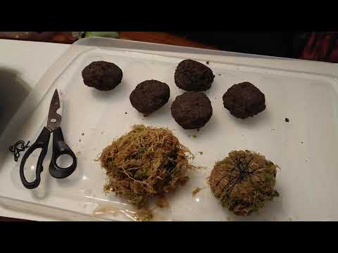 вабикуса своими руками (WABI-KUSA)