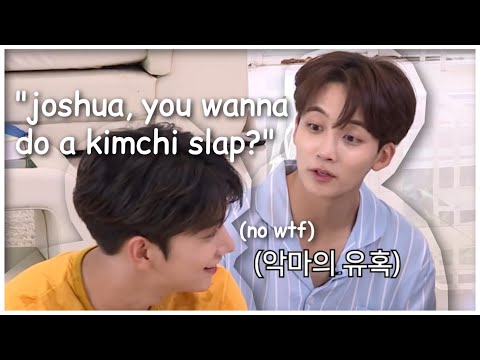things seventeen says that sound like fake subs but aren't
