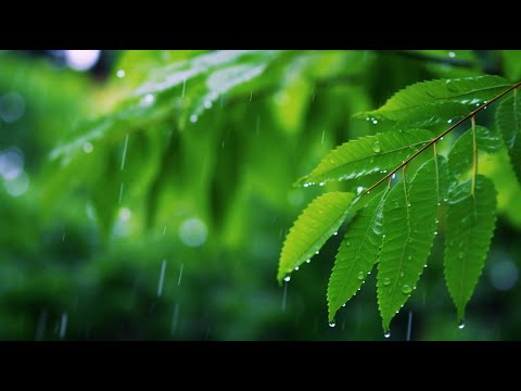 깊은 휴식과 마음 치유를 돕는 명상 힐링음악 🌿 스트레스 해소와 감정 안정에 좋은 치유 사운드