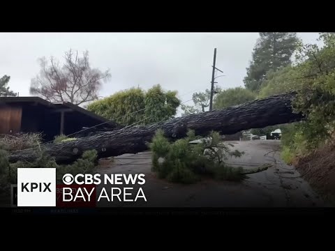 Storm impacts Christmas around the San Francisco Bay Area
