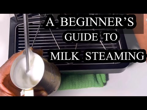 What You  Need To Know About Milk Steam  || Beginner’s Guide ||