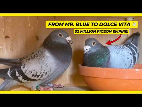 The Man Who Sold His $2 Million Empire to Prove His Genius