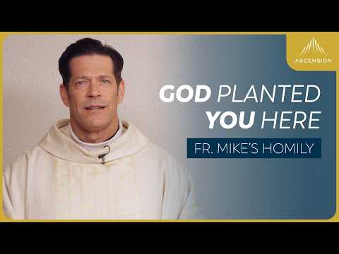 "On Purpose: Your Destiny" | Feast of the Presentation of the Lord (Fr. Mike's Homily)
