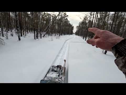 Последний месяц охот- сезона. Есть добыча. Непредвиденные обстоятельства.