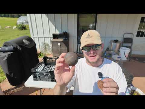 How to Hull Black Walnuts at Home (Fast & Easy Method)