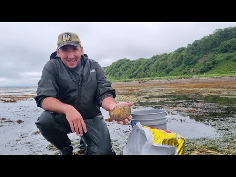 МОРСКОЙ ГРЕБЕШОК,УСТРИЦЫ,ЧИЛИМ,КРАБ, ВСЕ ЕДИМ ЖИВЫМ ПРЯМО НА МОРЕ