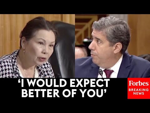 'Sounds Like You're Blaming The Victim': Tammy Duckworth Laces Into State Official Over Firings