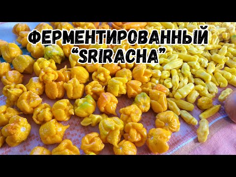 Ферментированный соус "Sriracha" из перца Каролина рипер