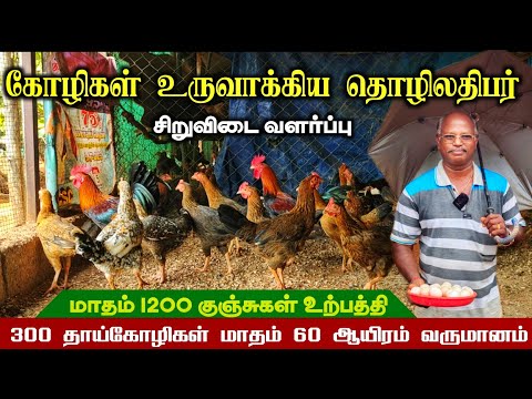 🐔அன்று 150 கோழிகள்! இன்று 300 தாய்கோழிகள்! வருமானத்தை இரண்டு மடங்காக்கிய பண்ணையாளர்!
