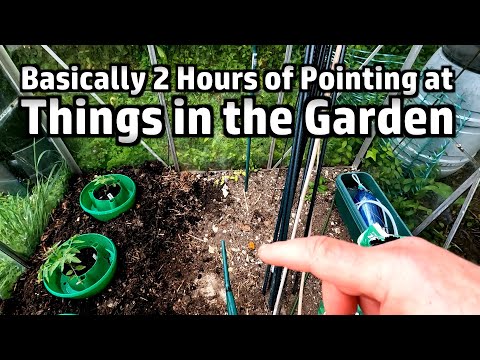 Random Stuff (Mostly Garden), Maiden Castle, Seatown, Pickling, Comment Positivity, Disco Flowers