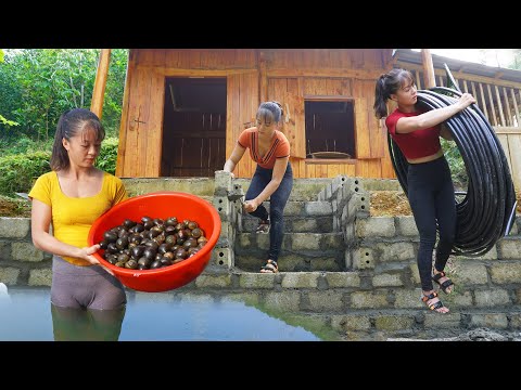 150 Days: Energetic Girl Build Log Cabin Off Grid -/Build Bathhouse & WC...Grow Clean Vegetable