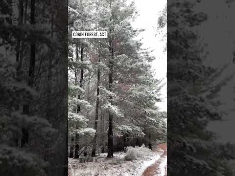 Surprise Polar Blast Blankets Southeast Australia In Snow | 10 News First