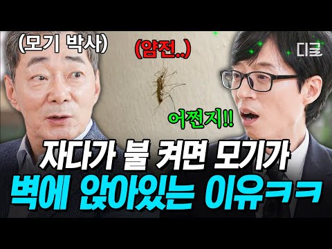 [#유퀴즈온더블럭] 엄청 커다란 모기🦟가 내 발을 물고도 도망가지 않는다⁉️ 바로 모기의 ‘이런’ 습성 때문💥
