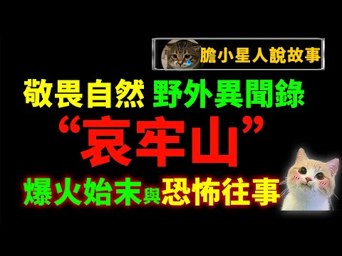详解 2024哀牢山事件始末!突然爆火的哀牢山,背后到底有多少可怕往事!? 石油工人讲述工作生涯最可怕的经历｜狸狸垣上跑