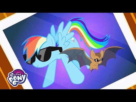 Best Pet Competition | Friendship Is Magic | Full Episodes | Little Pony Moments