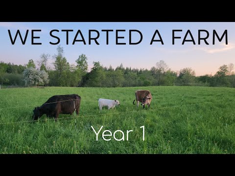 We are Building a Farm - Part 1 | The Dream Starts Here