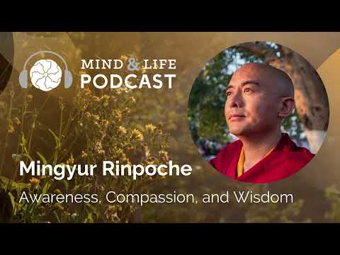 Mind & Life Podcast: Mingyur Rinpoche – Awareness, Compassion, and Wisdom