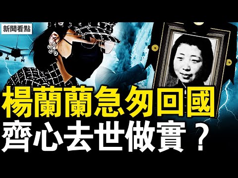 為見齊心生面，楊蘭蘭匆忙回國；天價保釋金貓膩，知情人爆料；與楊蘭蘭關係親密，華人律師被曝光；上班也要安檢，週末全天戒嚴？【新聞看點 李沐陽8.19】