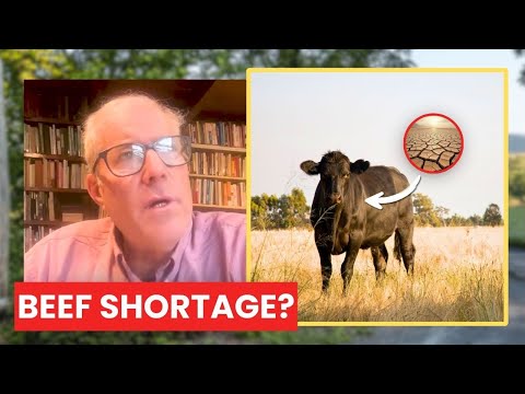 The LOWEST Number of COWS Since 1950? Joel Salatin on the Beef Shortage