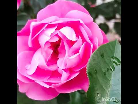 Лето - чудесная пора!