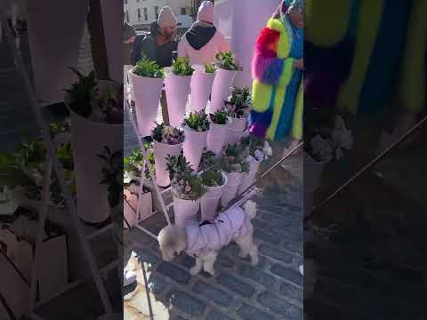 Coffee, flowers, and fragrance—what more could you ask for?