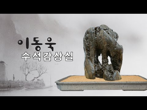 [수석의미tv].이동욱 수석감상실.수석 (水石. 壽石.奇石.suseok.stone).곽창근(010-5446-4832)