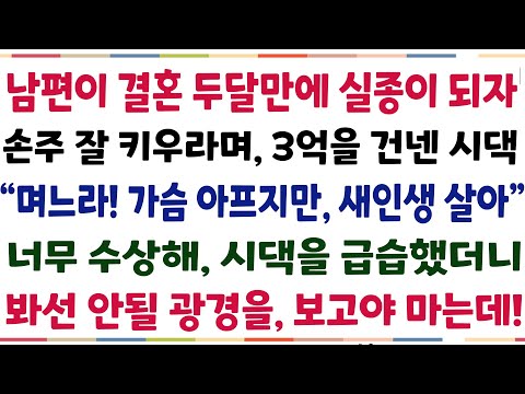 (반전신청사연)남편이 결혼 2달만에 실종되자, 손주 잘키우라며 3억을 건넨 시댁! "며느라! 가슴아프지만, 새인생 살아"너무 수상해 시댁에 갔더니[신청사연][사이다썰][사연라디오]
