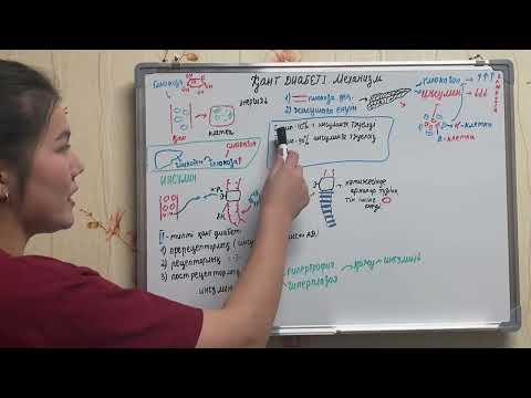 Қант диабеті, Диабеттік кетоацидоз.Қазақша