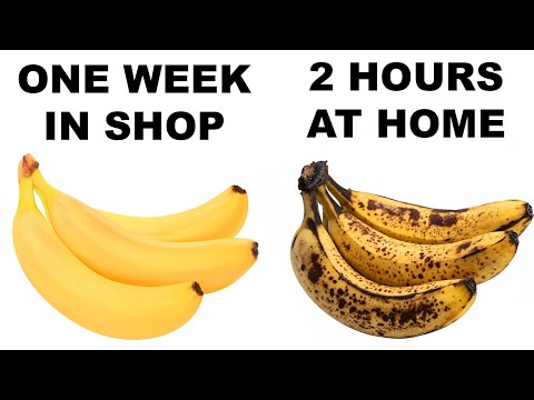 Illogical Memes That Make No Sense