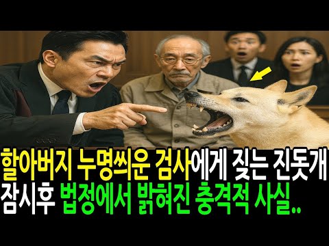 주인 할아버지 누명 씌운 검사에게 짖는 진돗개 잠시 후 법정에서 밝혀진 충격적 사실