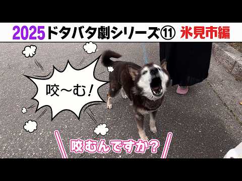 2025狂犬病予防注射会場のドタバタ劇⑪ 氷見市編