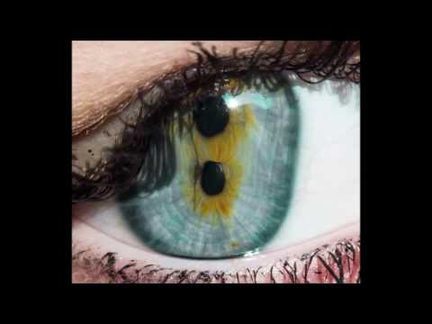 XippyDubz - Baby elephant walk