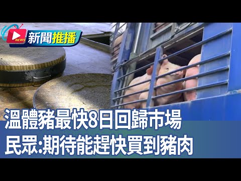溫體豬最快8日回歸市場 民眾：期待能趕快買到豬肉｜華視新聞 20251106｜新聞推播 @CtsTw