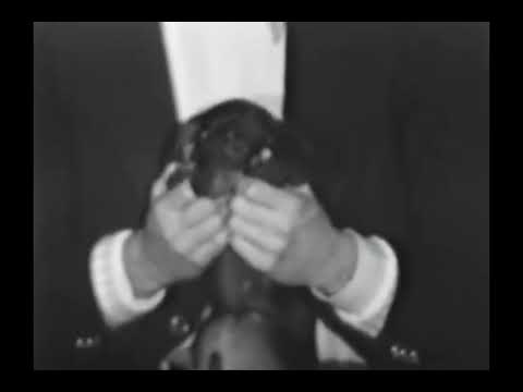 Jed Johnson Introduces Archie Warhol to the Factory (1972)