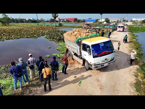 Ohh Be Watchful! Incredible Landfill Use 5Ton Dump Truck & Pushing by powerful Bulldozer into water