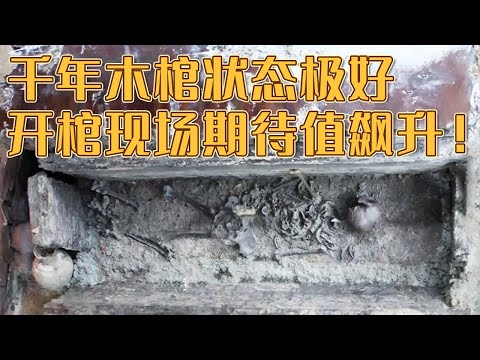 密闭极好 饱水状态木棺 能否再现马王堆奇迹？大墓揭开 考古专家：墓主人可能有爵位《探索·发现》徐州汉代家族墓（二）丨 中华国宝