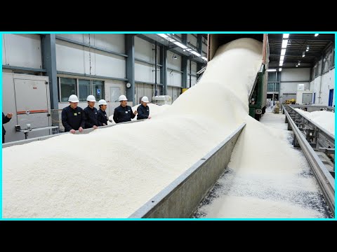 How Sea Salt Is Made 🧂 – Millions of Tons of Sea Salt Harvested and Processed