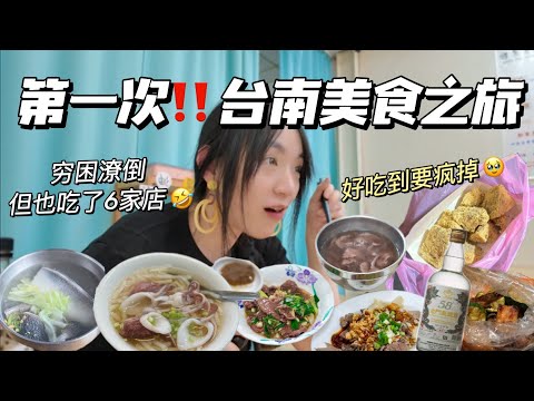 SUB) BEST Food City in Taiwan❗️…第一次台南美食之旅【Food VLOG】