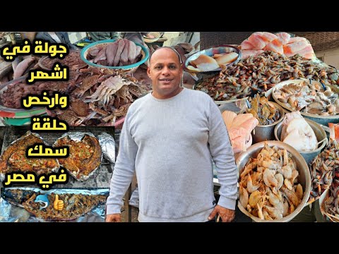 جولة في اشهر وارخص حلقة سمك في مصر وتحدي🐬مكان اكتشاف واسعار ولا فالخيال🙊سعر السمك بيبدء من 50 جنية💃