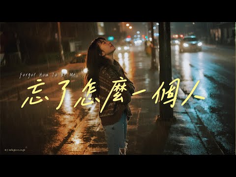 "#Forgot How to Be Alone" | Memories Like a Criminal, Kidnapping My Loneliness |  #LyricVideo