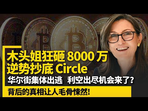 木头姐狂砸 8000 万逆势抄底 Circle！华尔街集体出逃，利空出尽机会来了？背后的真相让人毛骨悚然
