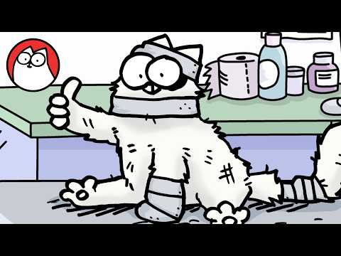 Cat Vs Vet - Double Bill Special