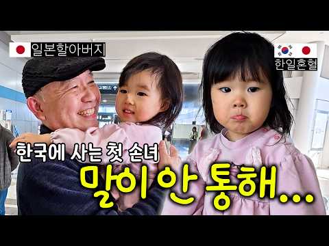 The Japanese parents, unable to hide their surprise, saw their granddaughter start to speak after...